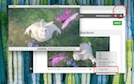 Extension Screenshot